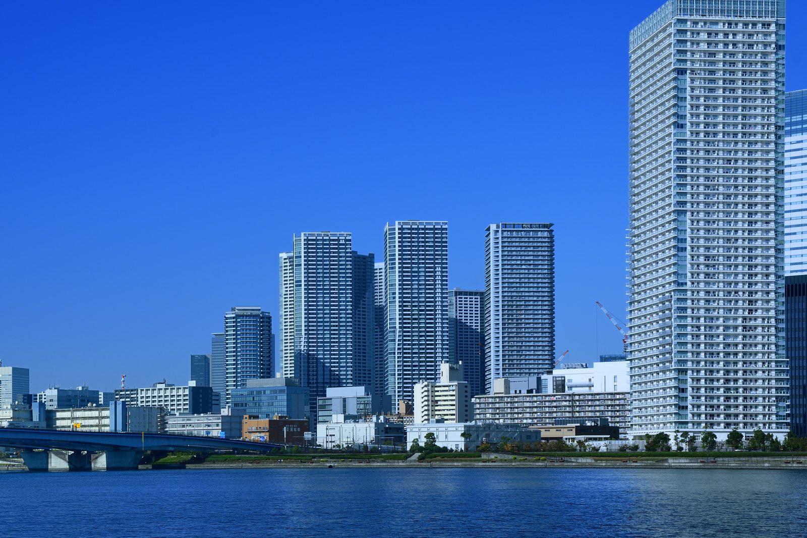 不動産購入の流れ