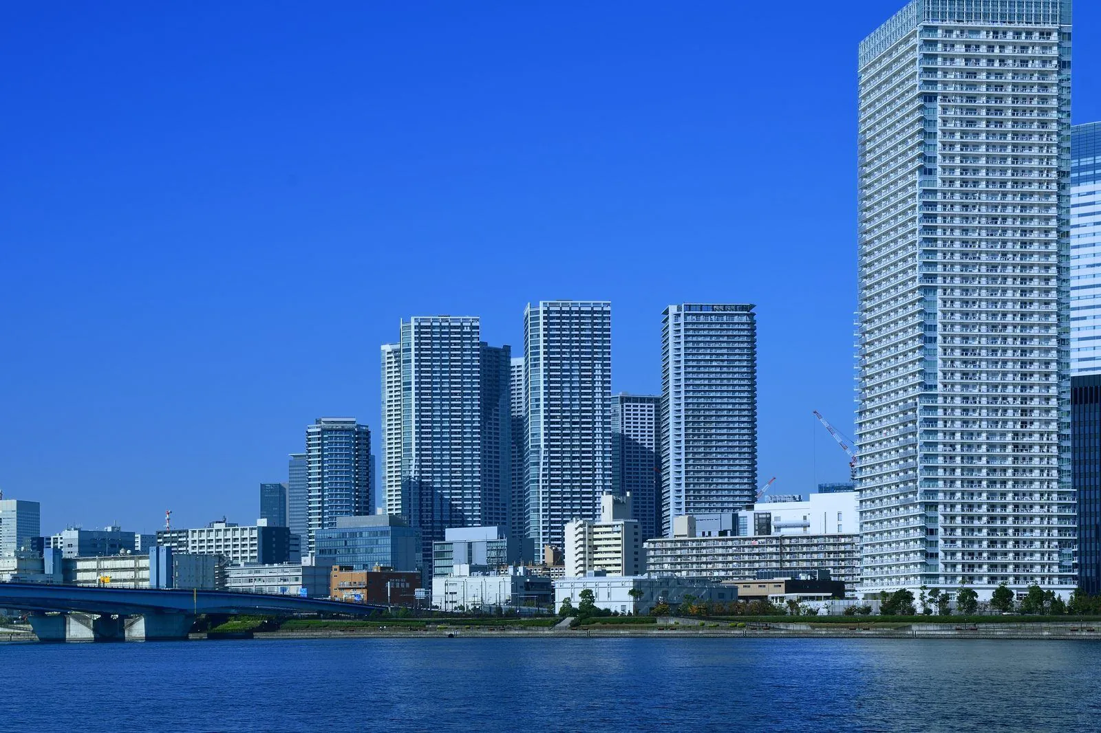 不動産購入の流れ